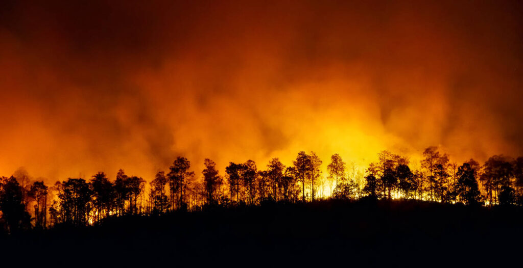 Incendios en Chile